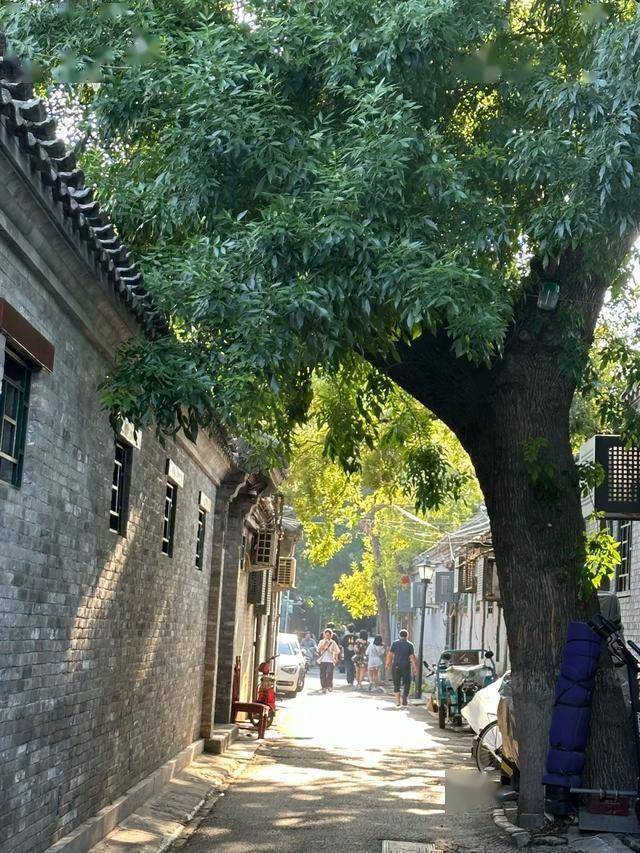 行社让你的旅途不迷路快乐不打折！开元棋牌北京超棒的三家私人订制旅(图2)