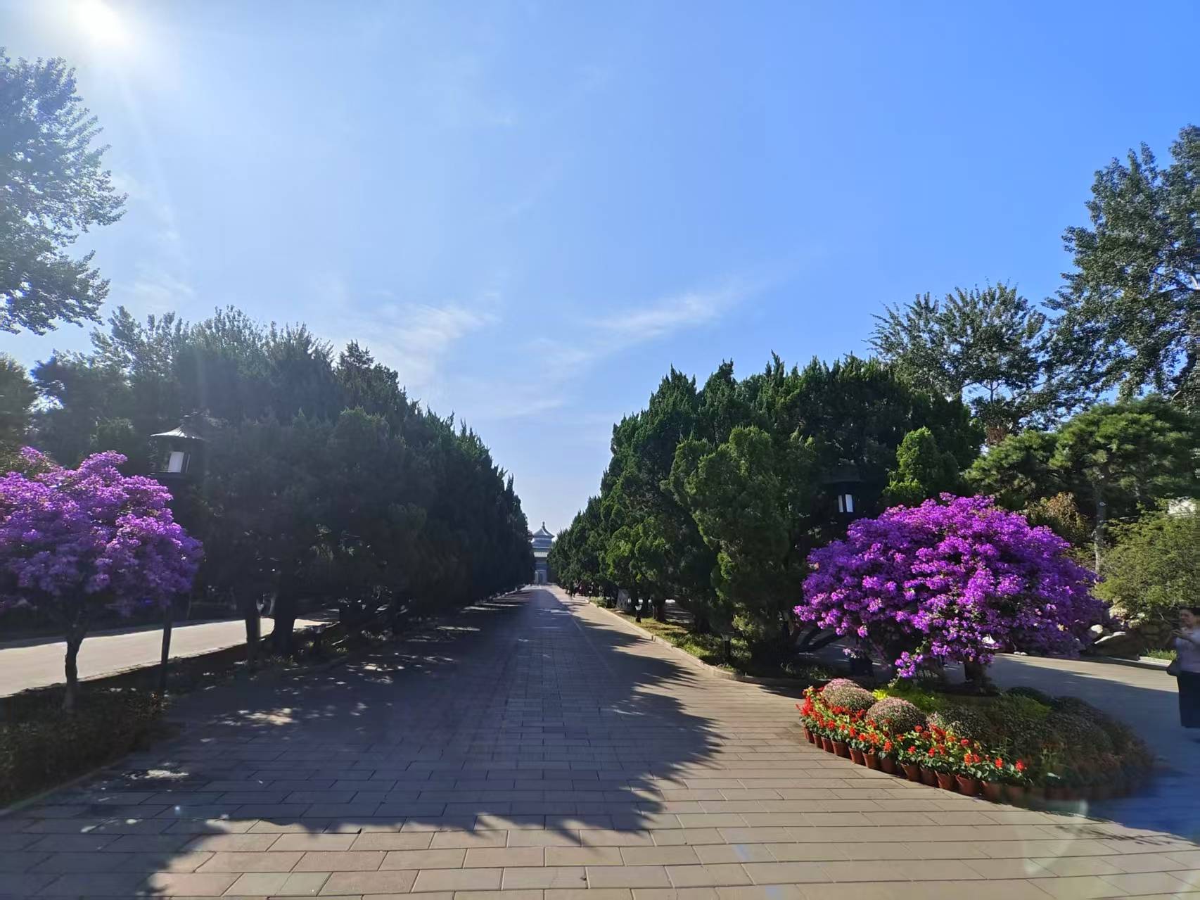 :2025定制游选对机构少花冤枉钱开元棋牌app北京私人定制旅行社(图3) :2025定制游选对机构少花冤枉钱开元棋牌app北京私人定制旅行社(图3)