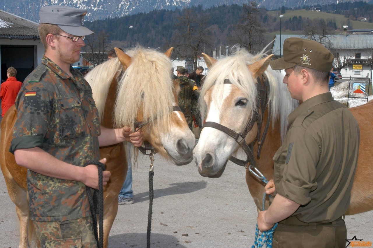 卑斯山欧洲假日幻想曲开元棋牌app阿尔