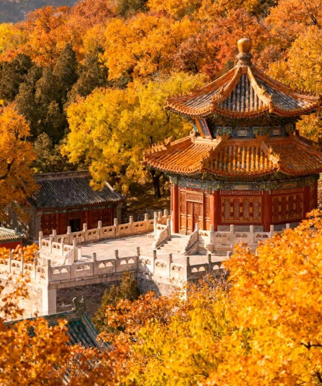 十强出炉好途旅游稳坐头把交椅开元棋牌app北京定制游口碑